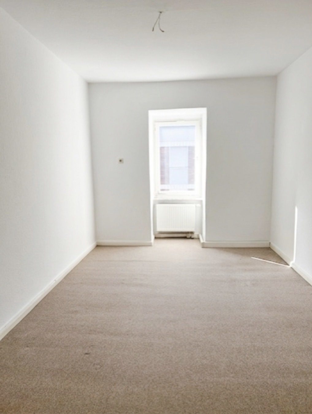 Große 6er-WG in Bamberg – in 110 Schritten zur Uni – Bild 4